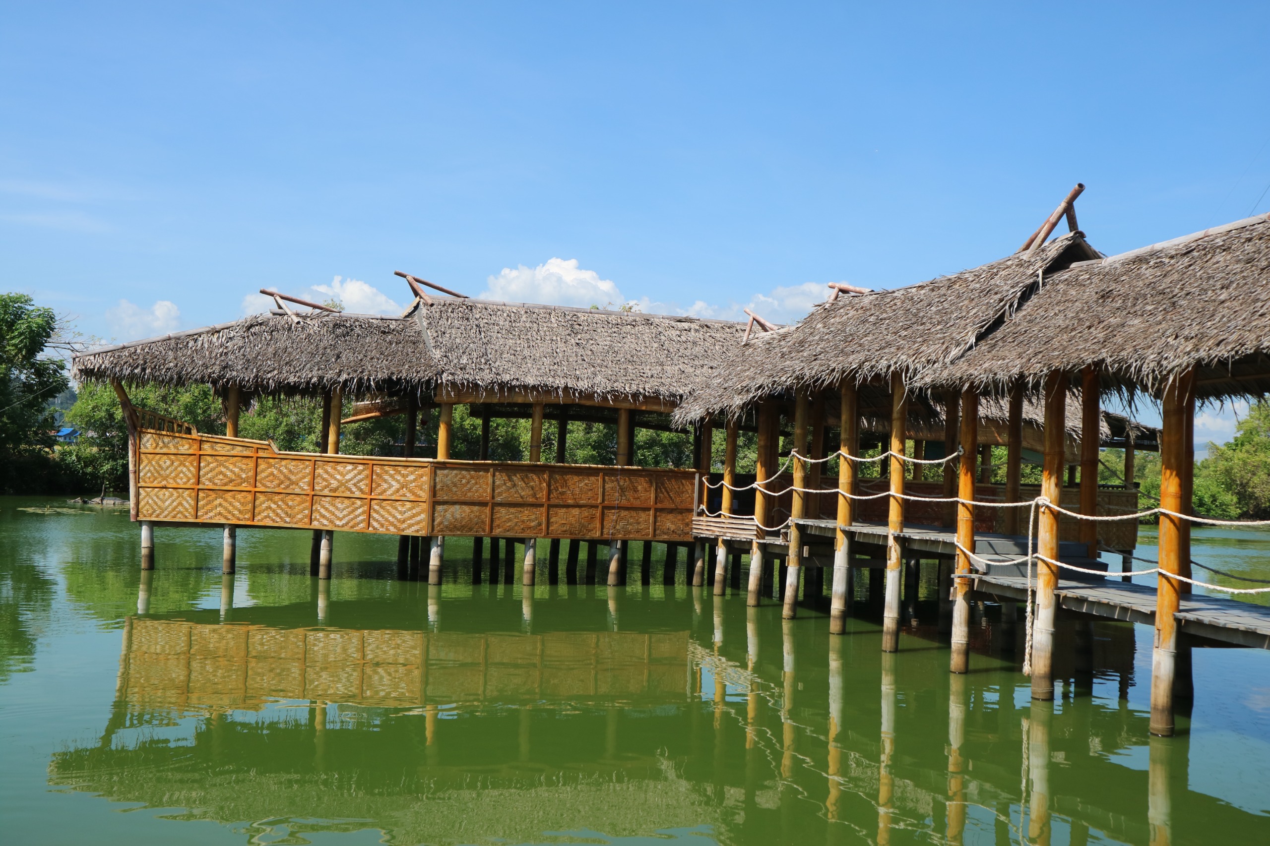 WhatsApp Image 2025-10-09 at 21.26.13_b7d0615c